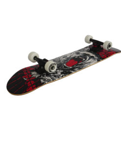 Alternative view of SHOCKN BLUE SKATE COMPLETO BEAR